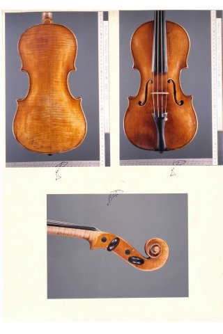 Violin by Paulo Castello, Genoa 1770