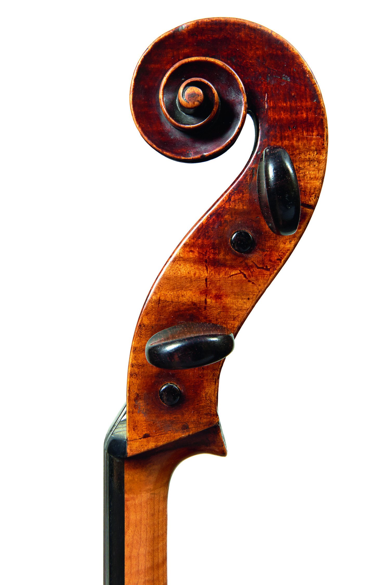 gofriller cello manuals gofriller cello manuals