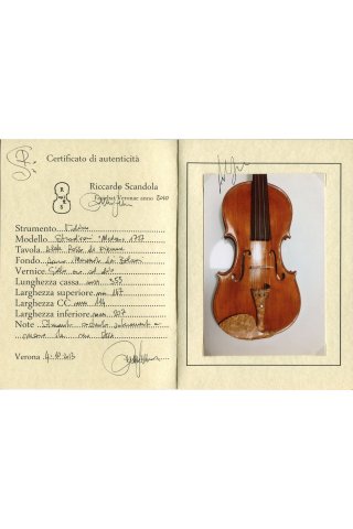 Violin by Riccardo Scandola, Italian 2010