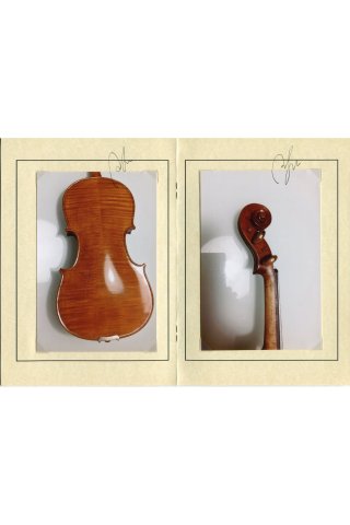 Violin by Riccardo Scandola, Italian 2010