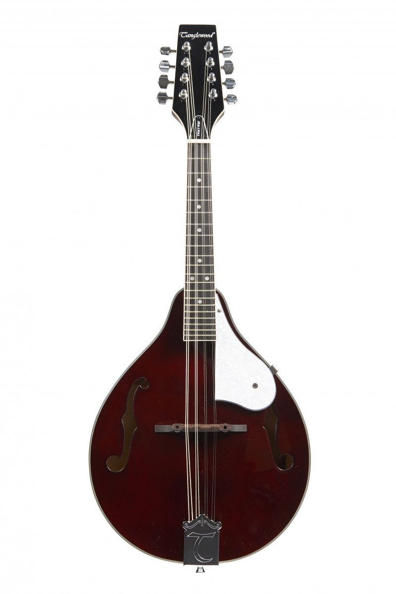 Lot 201 A Flatback Mandolin by Tanglewood 23rd June 2014 Auction
