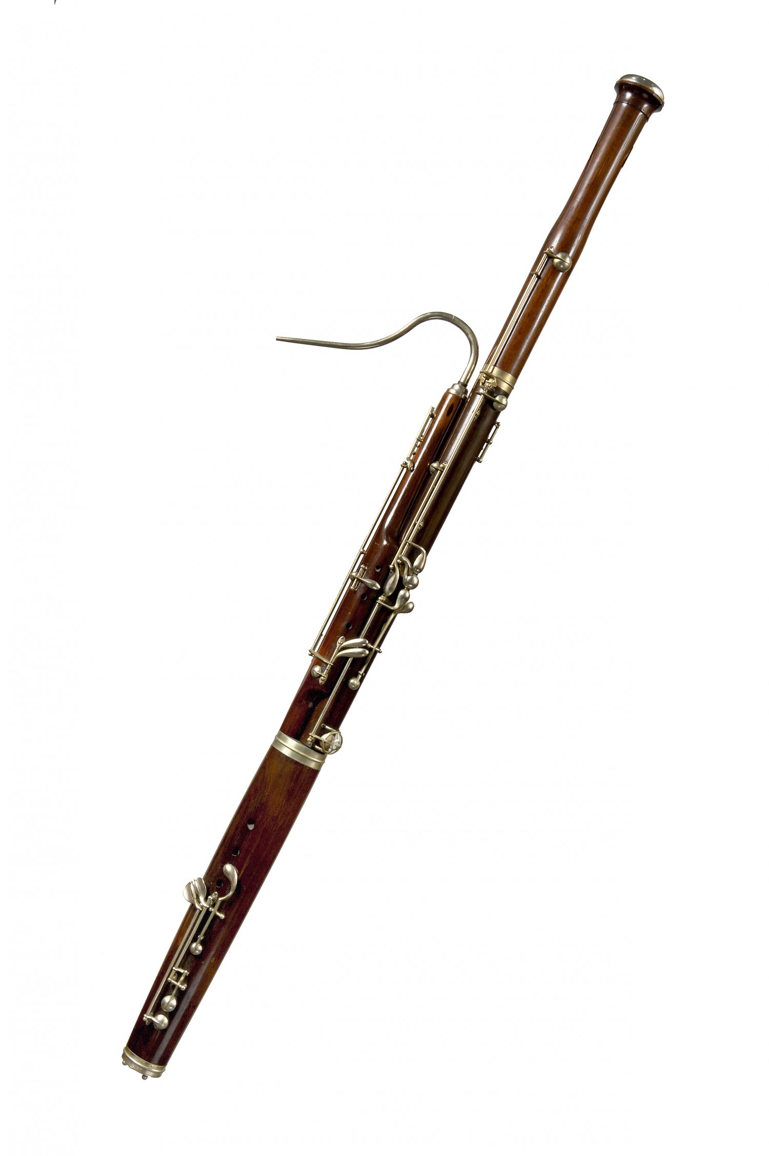 Bassoon Instruments Used at Monica Brown blog