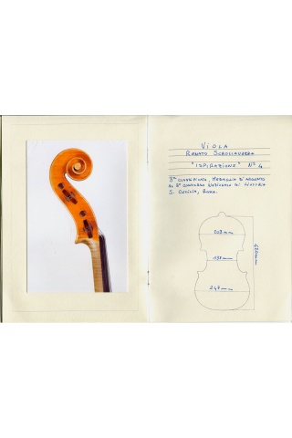 Viola by Renato Scrollavezza, Rome 1956