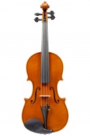 Violin by Andrea Caccia, Mantua 2008